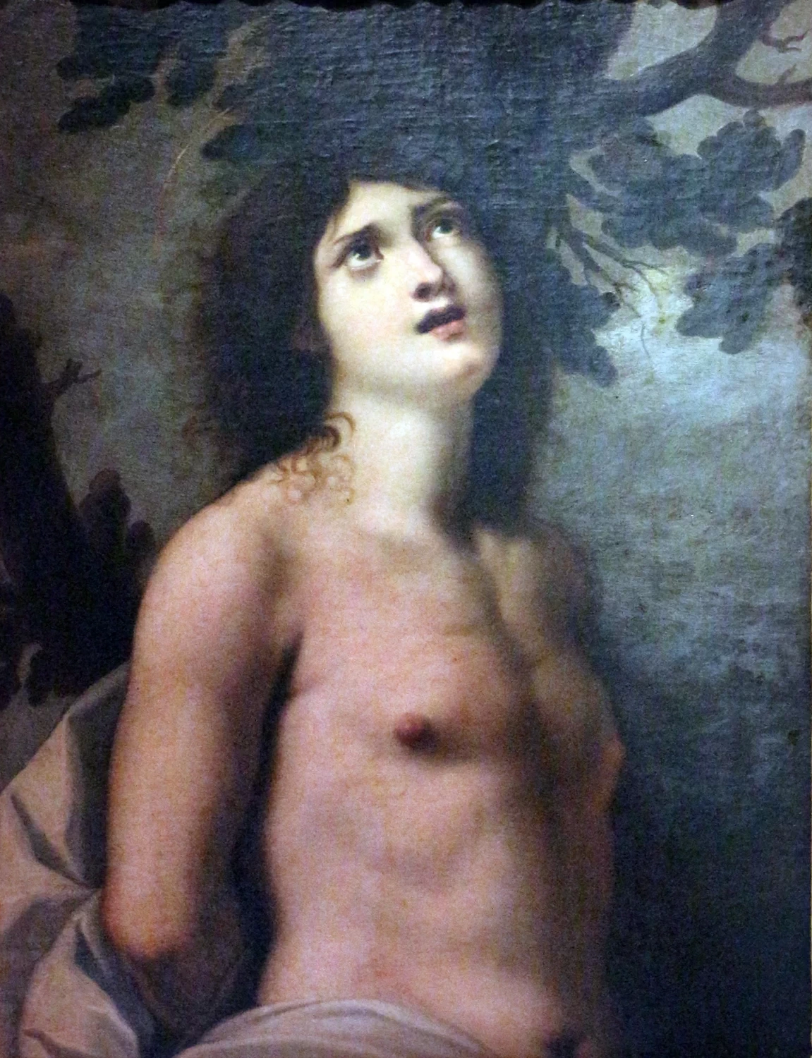 San Sebastiano - Galleria Palatina, Firenze